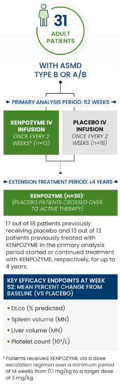 Illustration of Xenpozyme clinical trial design in adult patients with ASMD. The 52 week clinical trial consisted of 31 adult patients with ASMD (type B or A/B) with 13 patients who received a Xenpozyme IV infusion once every two weeks and 18 patients that received a placebo. The extension treatment period was less than or equal to 4 years with 30 patients (placebo patients crossed over to active therapy). 